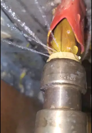 sharkbite fittings leakage
